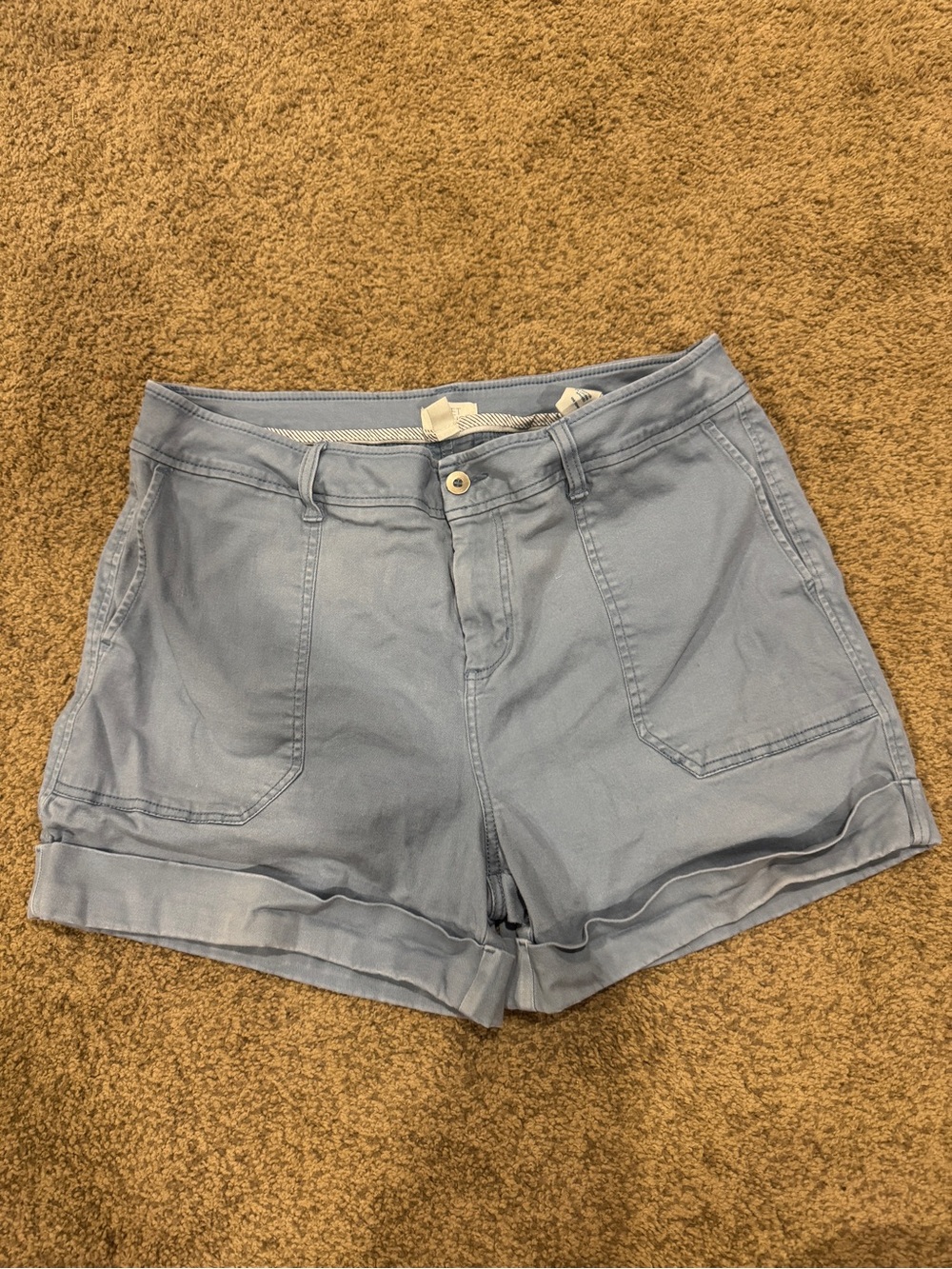 Market & Spruce Cotton Blend Shorts in Powder Blue